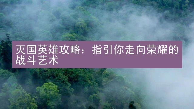 灭国英雄攻略：指引你走向荣耀的战斗艺术